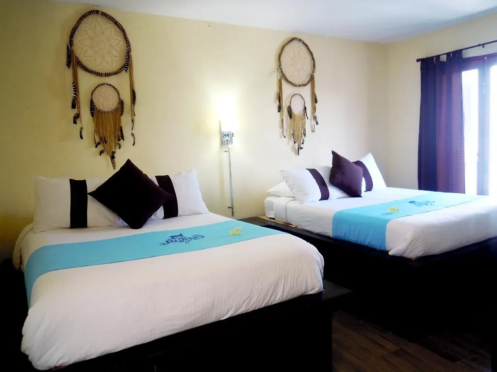 ベッド・アンド・ブレックファスト Hotel & Spa La Mansion Del B Azul ケレタロ